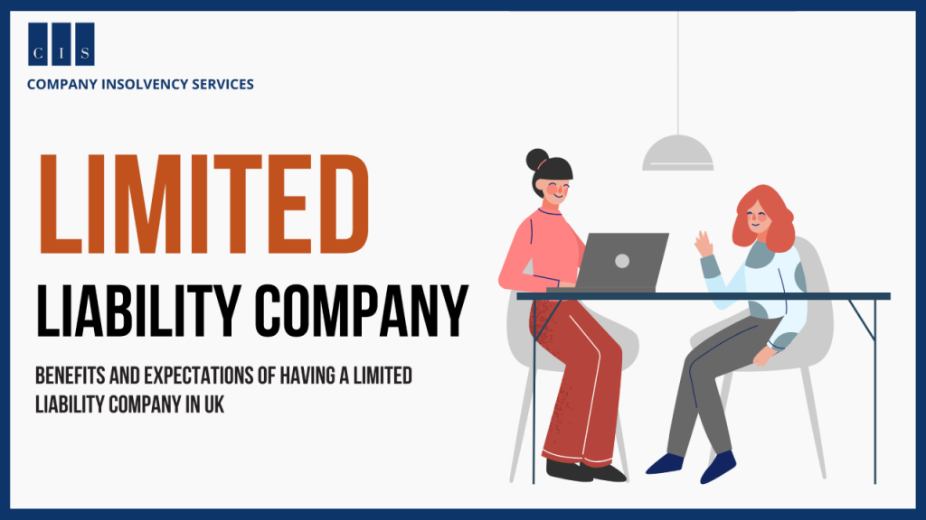 WHAT IS LIMITED LIABILTY COMPANY?